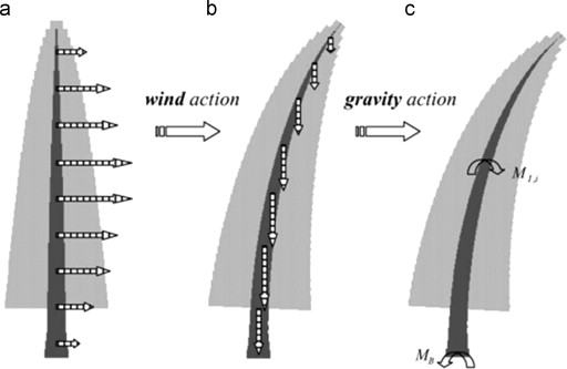 (a) Schematic wind forces acting on the initial shape of the tree; (b) schematic ...