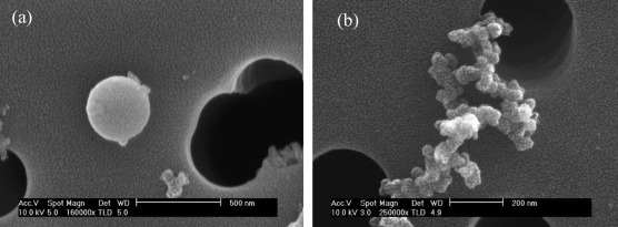 Secondary electron images of (a) tar ball and (b) soot in the Himalayan aerosols ...