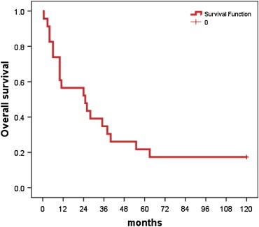 Kaplan-Meier survival curve.
