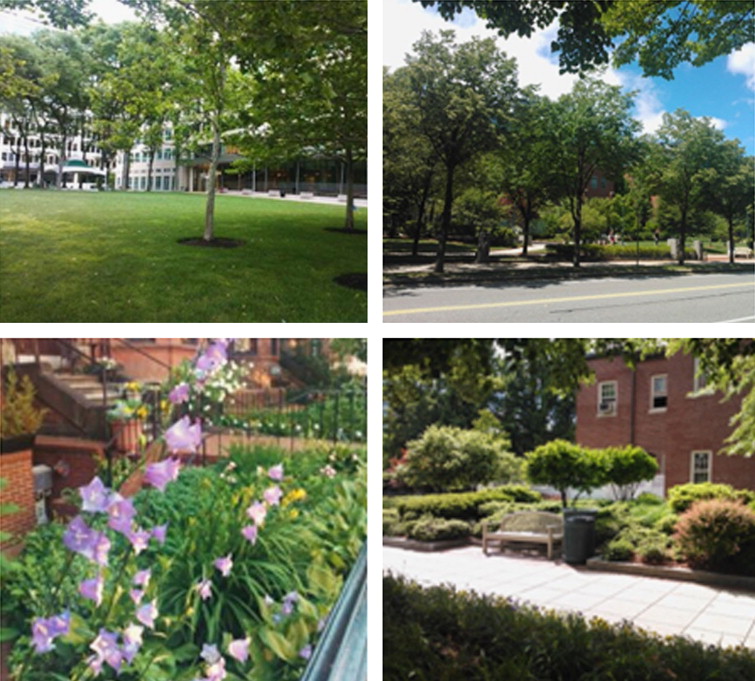 Lawns (upper left), trees (upper right), colorful plants (lower left) and dense ...