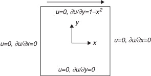 Condiciones de contorno en el problema de la cavidad forzada.