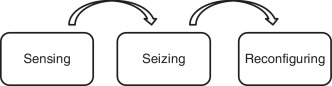 Sequence of the microfoundations of dynamic capabilities.