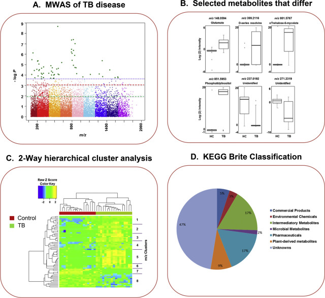 High-resolution metabolomics workflow. A. An MWAS was performed for pulmonary ...