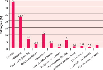 Principais patologias em Cirurgia Urológica de Ambulatório.