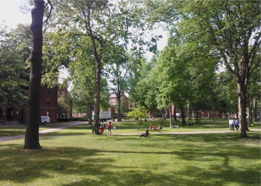 Harvard Yard at Harvard University.
