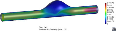 Visualización del campo de velocidades de una sección transversal de un modelo ...