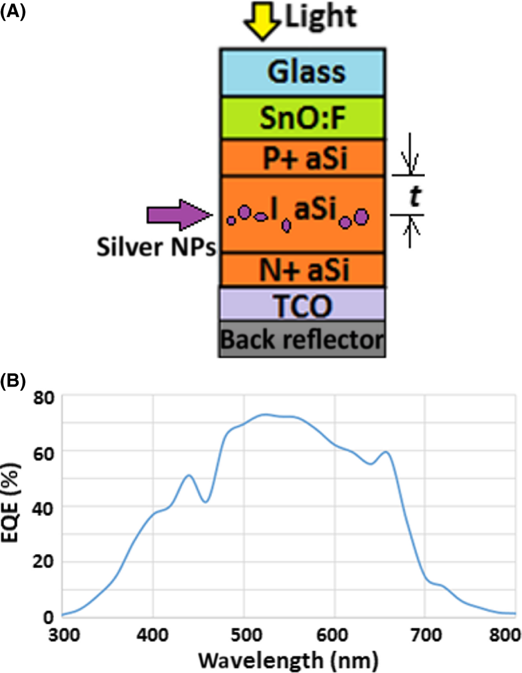 Figure 11.