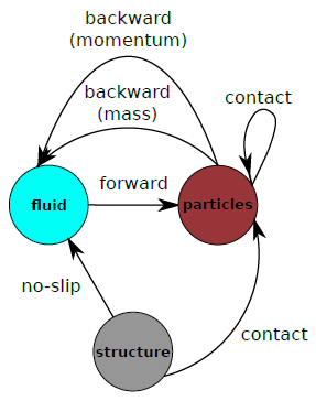 Diagram of phase interactions accounted for in the fluidized bed simulation.