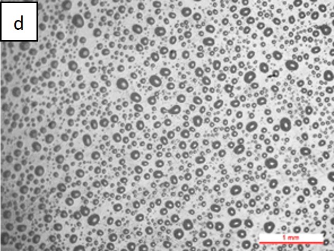 Review 950121520459 2132 Figura 5d.jpg