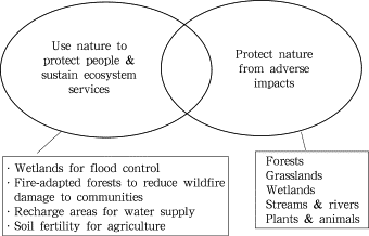 Conceptual diagram illustrating ecosystem-based adaptation: Use of natural ...