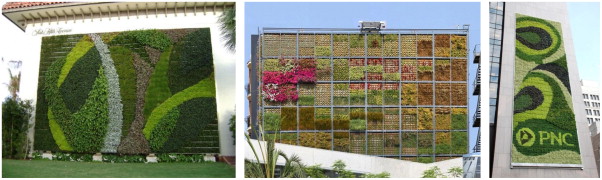 Different designs for vertical green Building Facades.