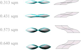 Membrane component based area variation and their unrolled surface conditions.