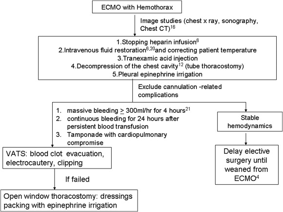 Management algorithm for ECMO-related massive hemothorax based on indications, ...
