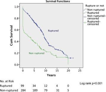 Survival curve of ruptured versus nonruptured (log rank p < 0.001).