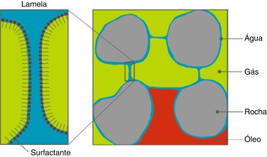 A espuma com o detalhe da lamela (modificado de [13]).