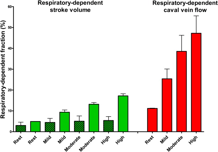 Based on the LPN simulation there is an increase in respiratory-dependent stroke ...