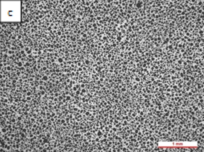 Review 950121520459 4186 Figura 3c.jpg