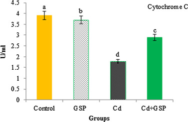 Effect of GSP on Cd-induced changes in cytochrome c oxidase activity. Values are ...
