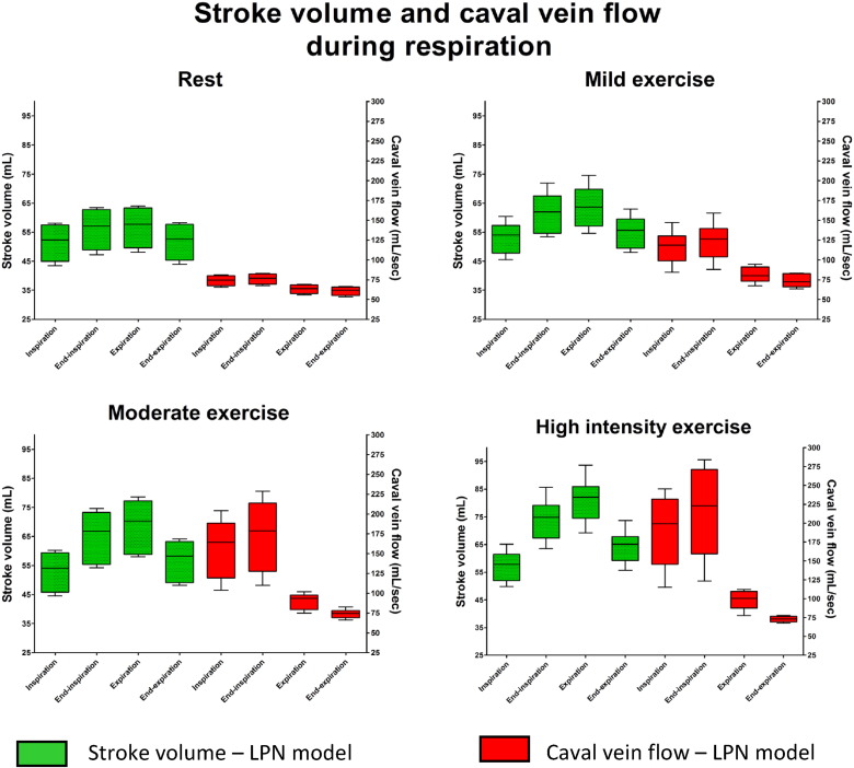 Simulated caval vein flow and stroke volumes (SV) at rest, mild, moderate and ...
