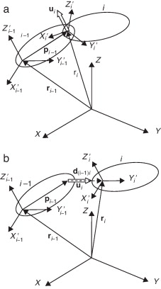 Pares de revolución y prismático.