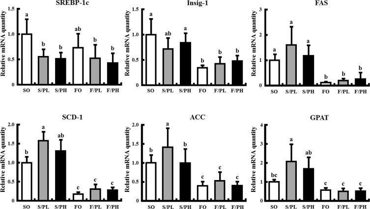 Hepatic mRNA levels related to lipogenesis in 15-week-old male KK mice. Mice ...