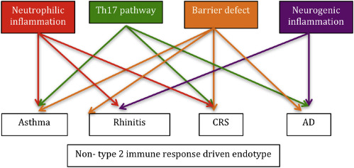 Multiple non-type 2-driven molecular sub-endotypes in major allergic diseases. ...