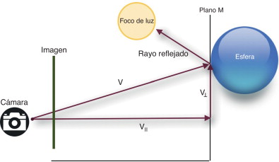Vector en un punto de un plano tangente a la esfera y sus componentes.