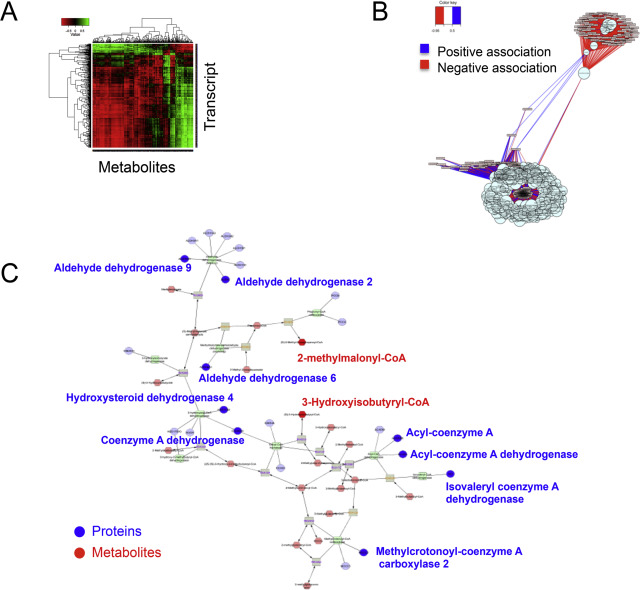 Integration of high-resolution metabolomics with gene expression and redox ...