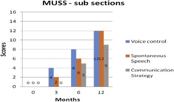 Scores obtained in various subsections of MUSS.