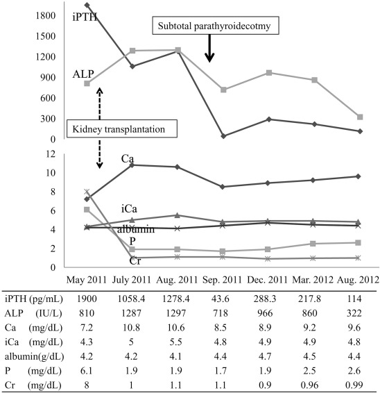 Serum iPTH, ALP, Ca, iCa, albumin, P, and Cr levels from kidney transplantation ...