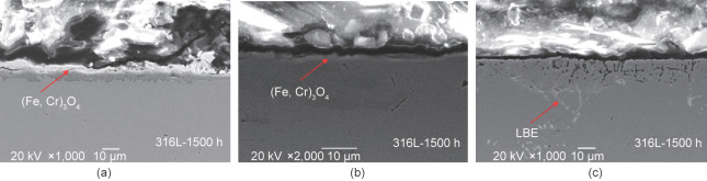 Cross-section appearance of 316L steel in stagnant LBE with different oxygen ...