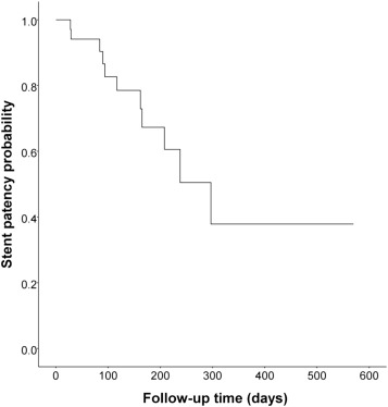 Time to restenosis after stent placement. Incidence of recurrent obstructions ...