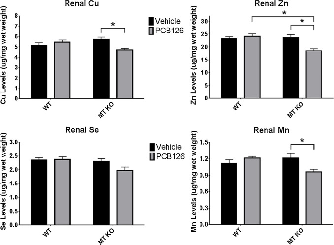 MTKO mice are susceptible to renal micronutrient disruption caused by ...