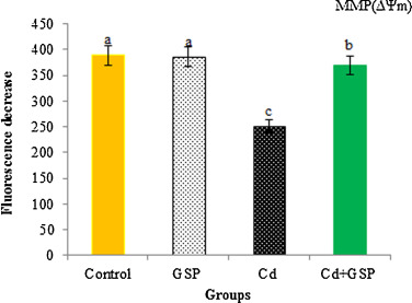 Effects of GSP treatment on Cd-induced changes in mitochondrial membrane ...