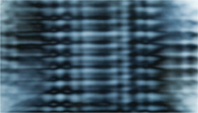 Source image for the determination of the retardation.