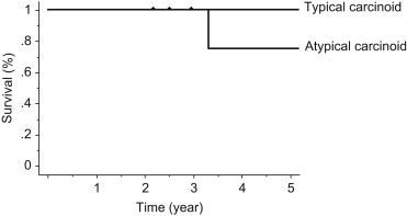 Survival curve of operation for typical and atypical carcinoid tumors. Hash ...