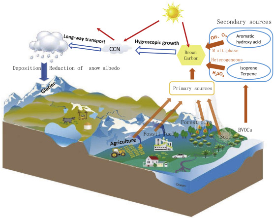 Schematic overview on the sources, transport, and radiative forcing of BrC, as ...