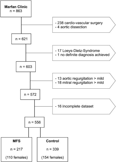 Marfan Syndrome Chart