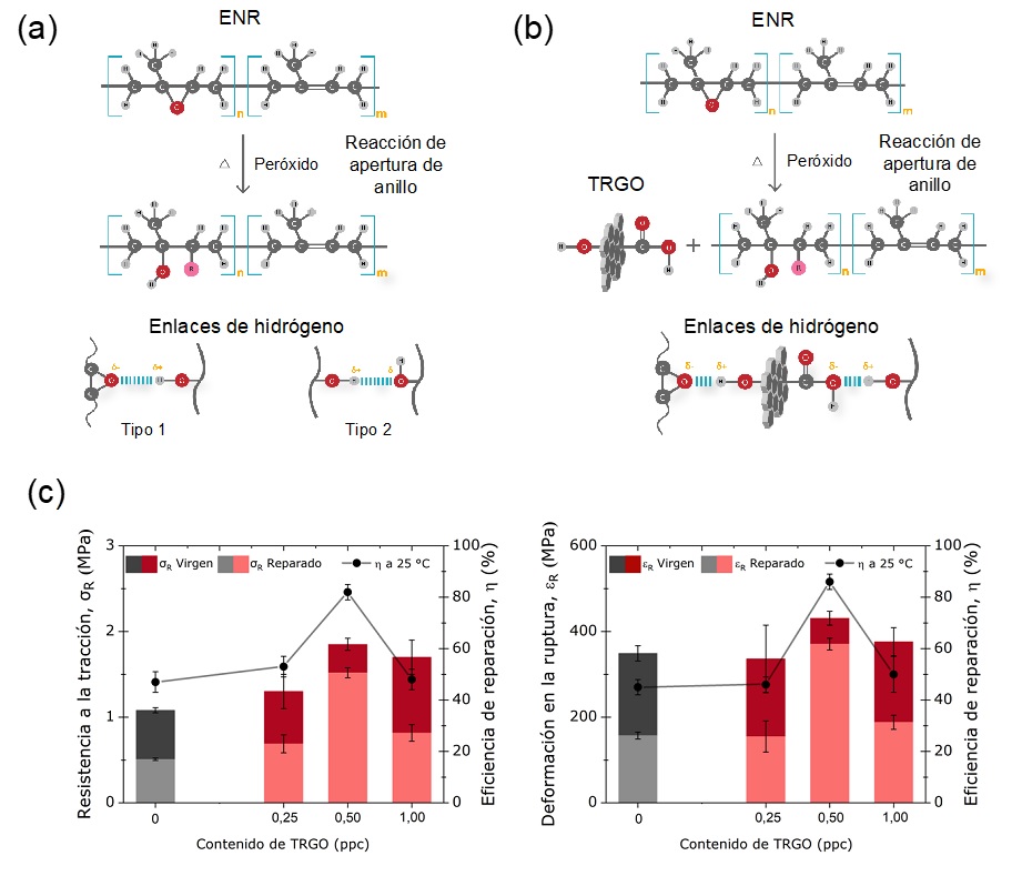 Draft Hernandez Santana 135928242 3945 Fig4.jpg