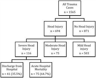 Acute and delayed mortalities of patients with head injuries during the study ...