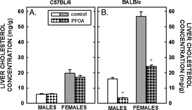 Cholesterol concentration in the livers of C57BL/6 (A) and BALB/c (B) male and ...
