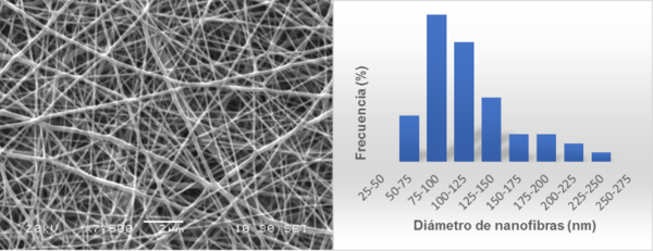 Draft Compuestos 652091739-image7.png