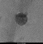 Ejemplos de imágenes de nanopartículas de plata (Ag) sintetizadas con resina de mezquite, utilizando la técnica TEM. Fuente: Universidad de Guanajuato.