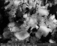 Draft Garcia-Martinez 237930664-image8-c.jpeg