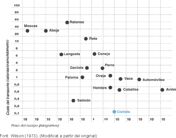Draft Calafí Guasch 560875277-image8-c.png
