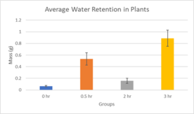 Review 855074334749-image13.png