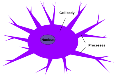 Ahmuty Ahmuty 2024a-image2-c.png