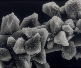 Crystalline micro-structure of cement