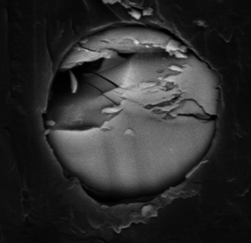 Gondra et al 2018a-image8-c.png