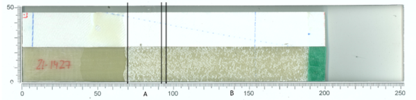 Blanco et al 2022a-image29.png